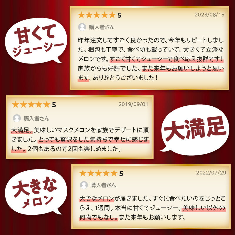 【ふるさと納税】農園自慢の『マスクメロン』(アールスメロン)大玉×2玉入り《先行予約》2026年6月下旬から順次発送【 配送不可地域：北海道・青森・秋田・岩手・沖縄・離島】 ふるさと納税 メロン 先行予約 ふるさと納税 フルーツ 予約 マスクメロン くだもの 果物 数量限定 サムネイル3