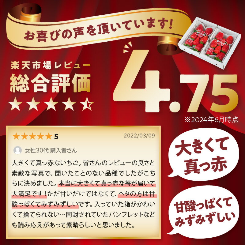 【ふるさと納税】高評価 ☆自農園産 和歌山県オリジナルいちご『完熟まりひめ』大粒3パック《先行予約》2026年1月頃から順次発送【配送不可地域：北海道・青森・秋田・岩手・沖縄・離島】 ふるさと納税 いちご イチゴ 苺 大きい フルーツ 送料無料 数量限定 サムネイル2