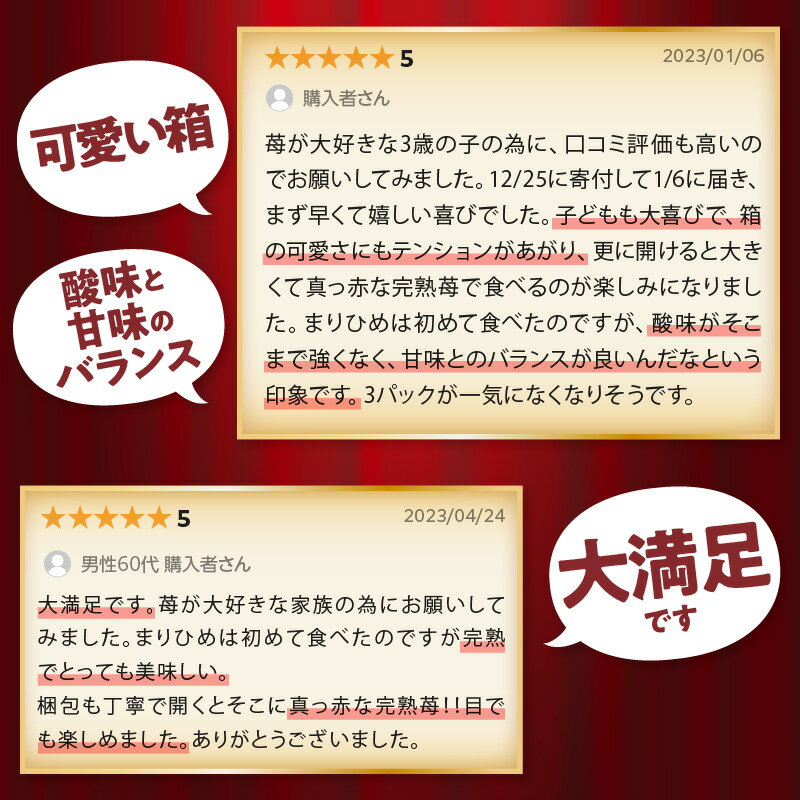 【ふるさと納税】高評価 ☆自農園産 和歌山県オリジナルいちご『完熟まりひめ』大粒3パック《先行予約》2026年1月頃から順次発送【配送不可地域：北海道・青森・秋田・岩手・沖縄・離島】 ふるさと納税 いちご イチゴ 苺 大きい フルーツ 送料無料 数量限定 サムネイル3