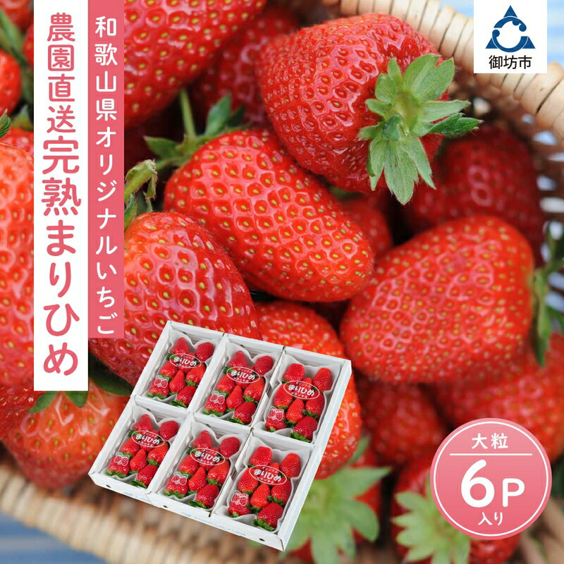 和歌山県オリジナルいちご『完熟まりひめ』大粒6パック《先行予約》2026年4月頃から順次発送【配送不可地域：北海道・青森・秋田・岩手・沖縄・離島】 ふるさと納税 いちご 予約 先行予約 甘い ふるさと納税 イチゴ 苺 大きい フルーツ 送料無料 数量限定