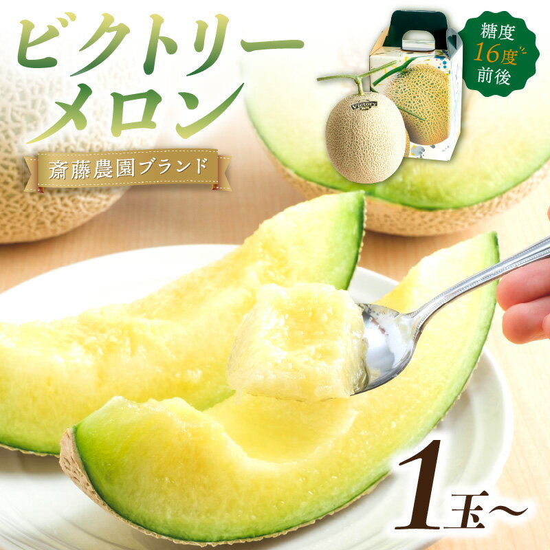 斎藤農園ブランド「ビクトリーメロン」アールスメロン(マスクメロン) 1玉1.5kg程度 2玉 3kg程度≪先行予約2026年6月下旬以降発送分≫【配送不可地域：北海道・青森・秋田・岩手・沖縄・離島】高級 極上 果物 フルーツ 産地直送 プレゼント 和歌山県産 御坊産