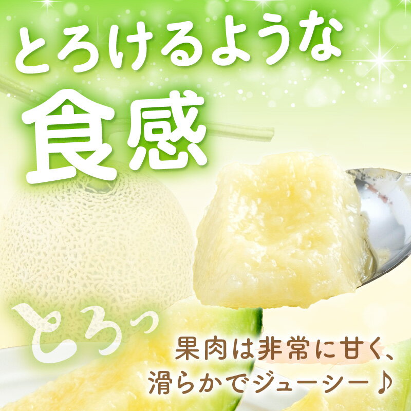【ふるさと納税】斎藤農園のアールスメロン(マスクメロン)2玉3kg程度≪先行予約2026年6月下旬頃より順次発送予定≫【配送不可地域：北海道・青森・秋田・岩手・沖縄・離島】ふるさと納税 メロン ふるさと納税 フルーツ 予約 2玉 くだもの 果物 送料無料 マスクメロン サムネイル3