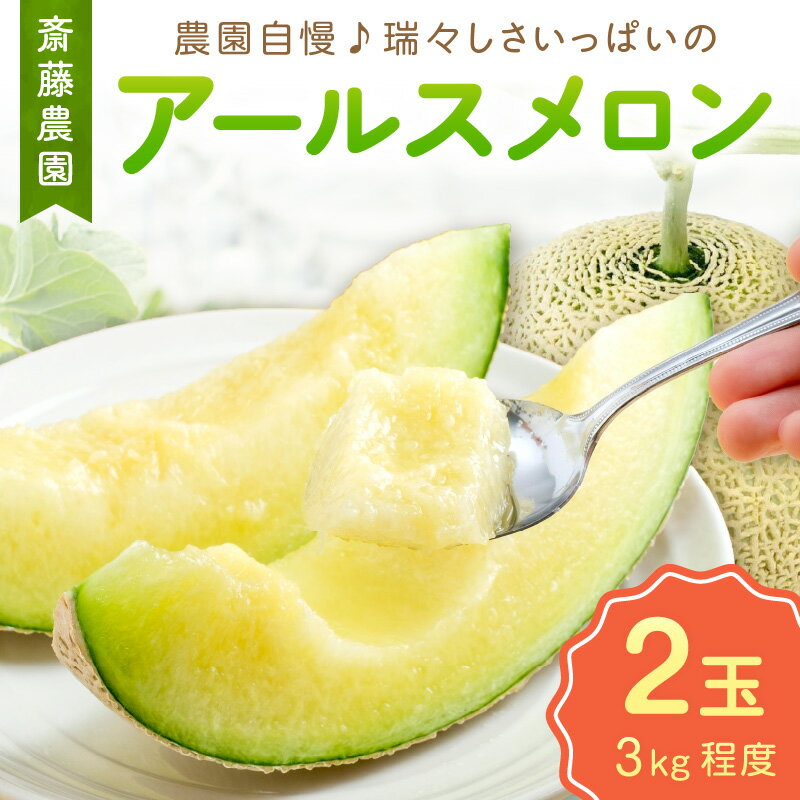 斎藤農園のアールスメロン(マスクメロン)2玉3kg程度≪先行予約2026年6月下旬頃より順次発送予定≫【配送不可地域：北海道・青森・秋田・岩手・沖縄・離島】ふるさと納税 メロン ふるさと納税 フルーツ 予約 2玉 くだもの 果物 送料無料 マスクメロン