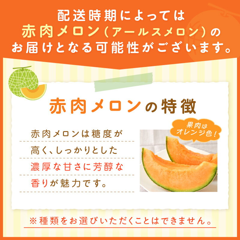 【ふるさと納税】斎藤農園のアールスメロン(マスクメロン)2玉3kg程度≪先行予約2026年6月下旬頃より順次発送予定≫【配送不可地域：北海道・青森・秋田・岩手・沖縄・離島】ふるさと納税 メロン ふるさと納税 フルーツ 予約 2玉 くだもの 果物 送料無料 マスクメロン サムネイル2