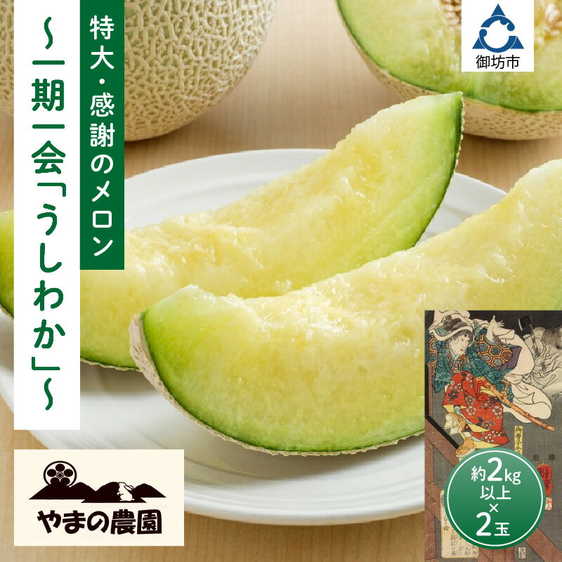 やまの農園　感謝のメロン～一期一会「うしわか」～≪先行予約≫【2026年7月中旬より順次発送予定】 フルーツ メロン マスクメロン 特大2玉 送料無料 数量限定 予約 先行予約 ふるさと納税 メロン