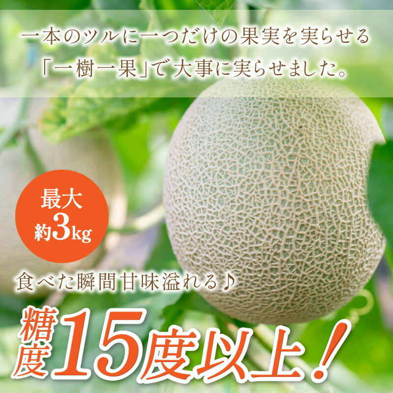 【ふるさと納税】やまの農園　感謝のメロン～一期一会「べんけい」～≪先行予約≫【2026年7月中旬より順次発送予定】 フルーツ メロン マスクメロン 特大 送料無料 数量限定 予約 先行予約 ふるさと納税 メロン サムネイル2