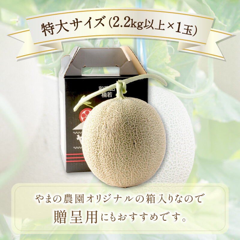 【ふるさと納税】やまの農園　感謝のメロン～一期一会「べんけい」～≪先行予約≫【2026年7月中旬より順次発送予定】 フルーツ メロン マスクメロン 特大 送料無料 数量限定 予約 先行予約 ふるさと納税 メロン サムネイル3