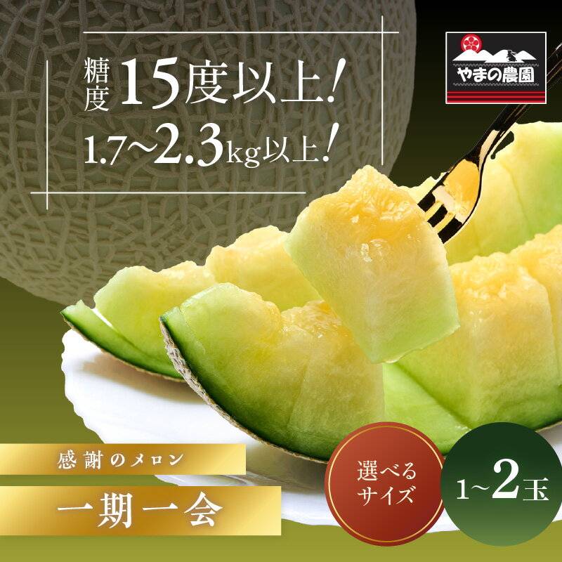 やまの農園　感謝のメロン～一期一会「うしわか」・「べんけい」・「くらま」1玉 2玉≪先行予約≫【2026年7月中旬より順次発送予定】 フルーツ メロン マスクメロン 特大 送料無料 数量限定 予約 先行予約 ふるさと納税 メロン