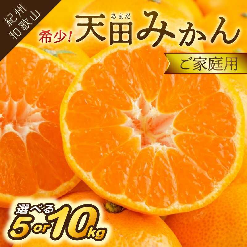 希少！天田みかん（紀州和歌山）ご家庭用 5kg10kg《先行予約》 ふるさと納税 みかん 予約 先行予約 5キロ 10キロ フルーツ くだもの 果物 送料無料 数量限定 期間限定