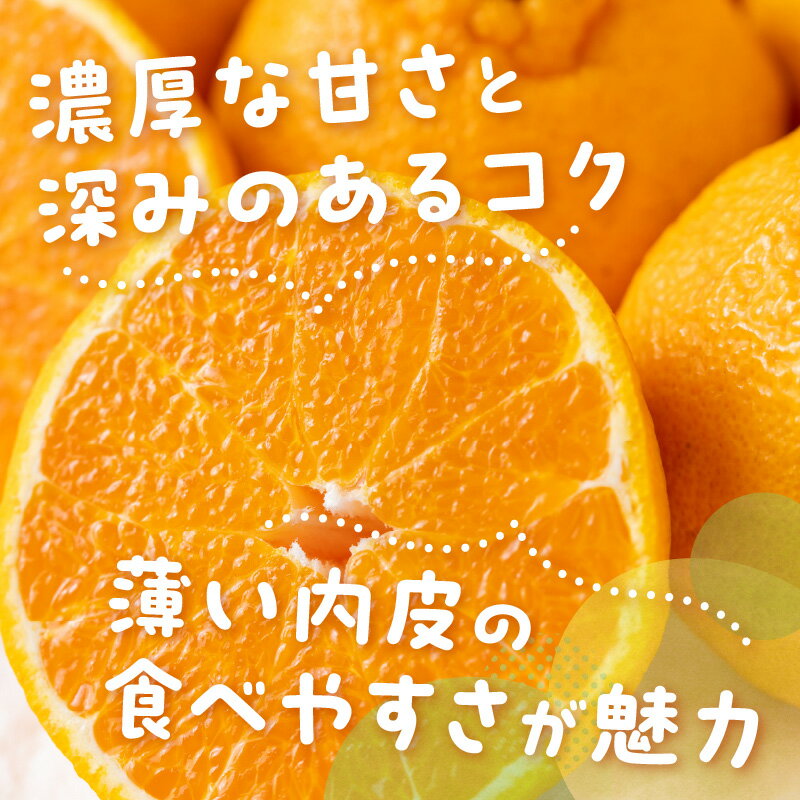 【ふるさと納税】濃厚な甘み！和歌山不知火 4.5kg以上 ≪先行予約2026年2月下旬より順次発送分≫ Lサイズ 2Lサイズ 果物 くだもの フルーツ みかん 蜜柑 しらぬい 不知火 柑橘 デザート 和歌山 サムネイル3