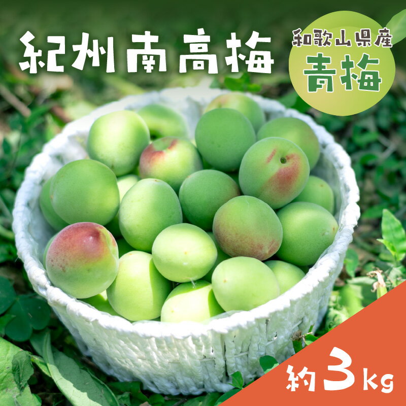 和歌山県産　紀州南高梅　青梅【約3kg】≪先行予約2026年6月初旬頃より順次発送予定分≫