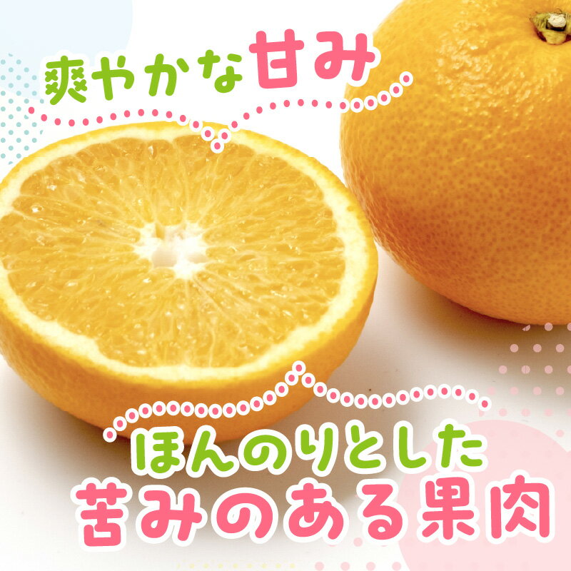 【ふるさと納税】爽やかな甘み！　和歌山はっさく 約5kg 約10kg ≪先行予約2026年3月頃より順次発送予定分≫ みかん 蜜柑 フルーツ 果物 期間限定 先行予約 ふるさと納税 はっさく 八朔 サムネイル2