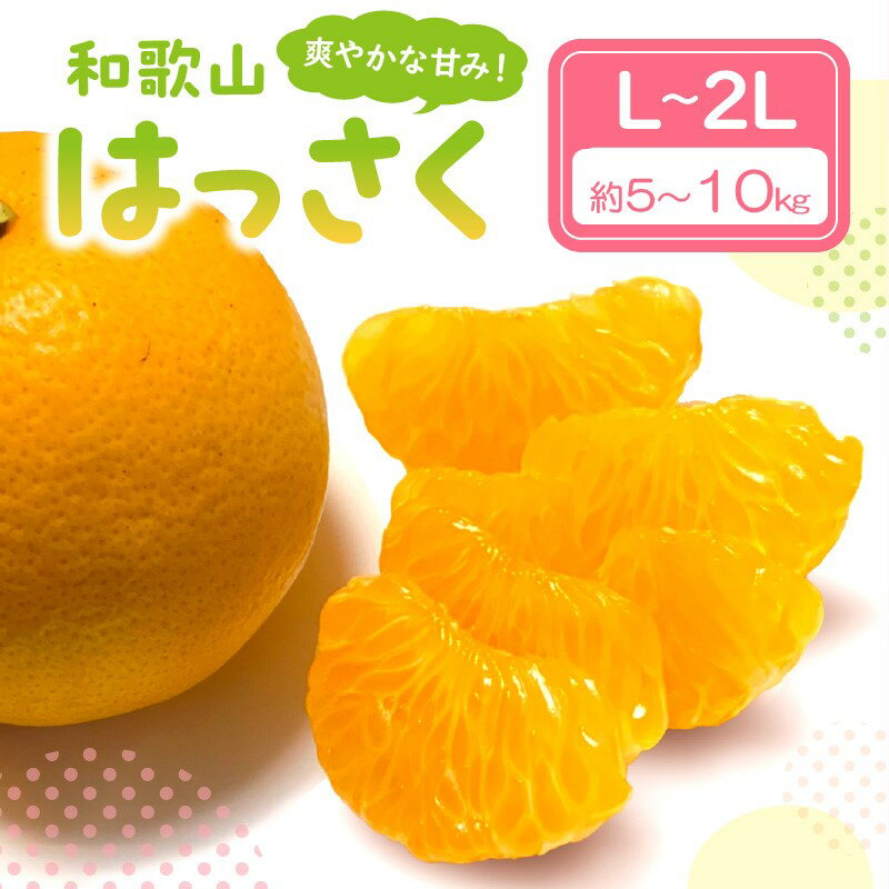 爽やかな甘み！　和歌山はっさく 約5kg 約10kg ≪先行予約2026年3月頃より順次発送予定分≫ みかん 蜜柑 フルーツ 果物 期間限定 先行予約 ふるさと納税 はっさく 八朔