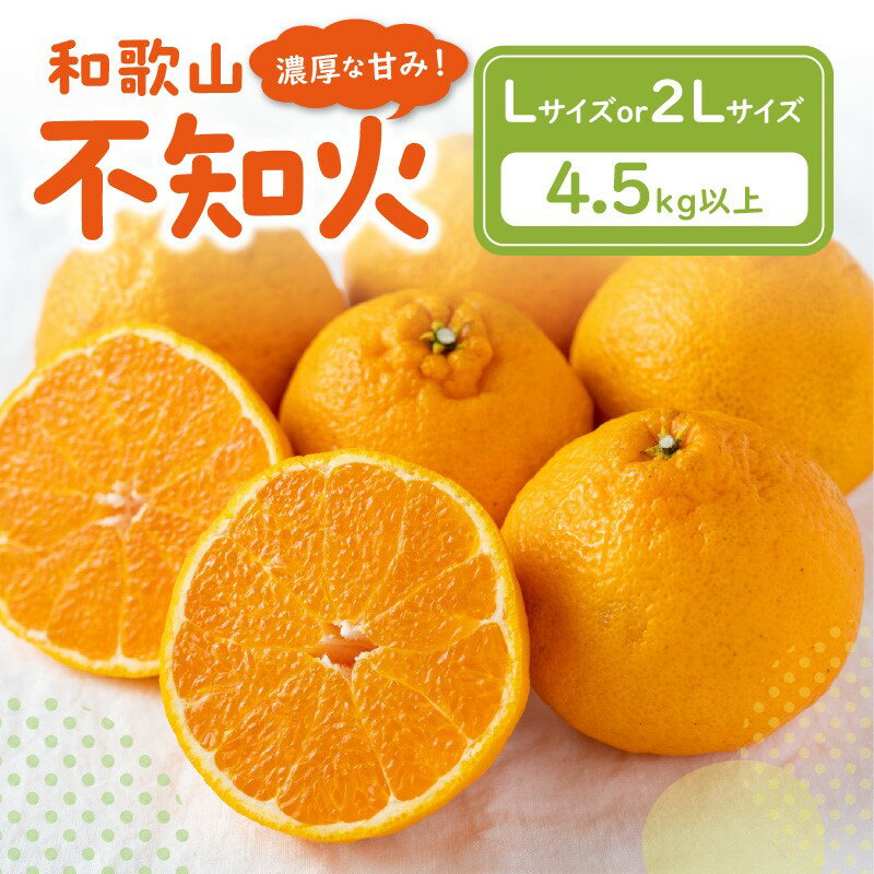 濃厚な甘み！和歌山不知火 4.5kg以上 ≪先行予約2026年2月下旬より順次発送分≫ Lサイズ 2Lサイズ 果物 くだもの フルーツ みかん 蜜柑 しらぬい 不知火 柑橘 デザート 和歌山