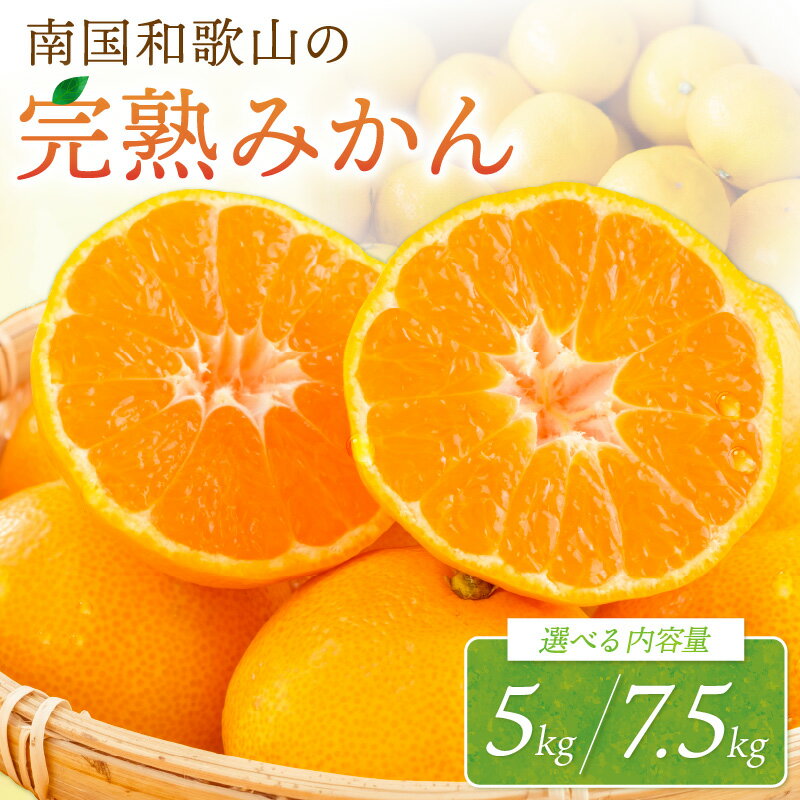 南国和歌山の完熟みかん《先行予約》5kg 7.5kg みかん 予約 先行予約 蜜柑 完熟蜜柑 果物 くだもの フルーツ 和歌山【配送不可地域】離島