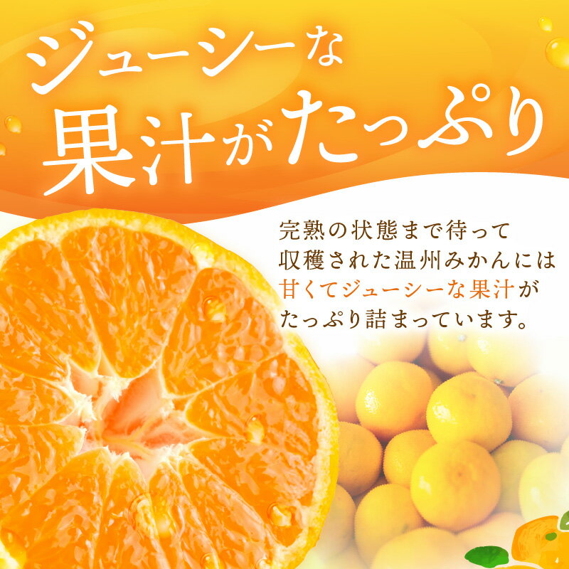 【ふるさと納税】南国和歌山の完熟みかん《先行予約》5kg 7.5kg みかん 予約 先行予約 蜜柑 完熟蜜柑 果物 くだもの フルーツ 和歌山【配送不可地域】離島 サムネイル2
