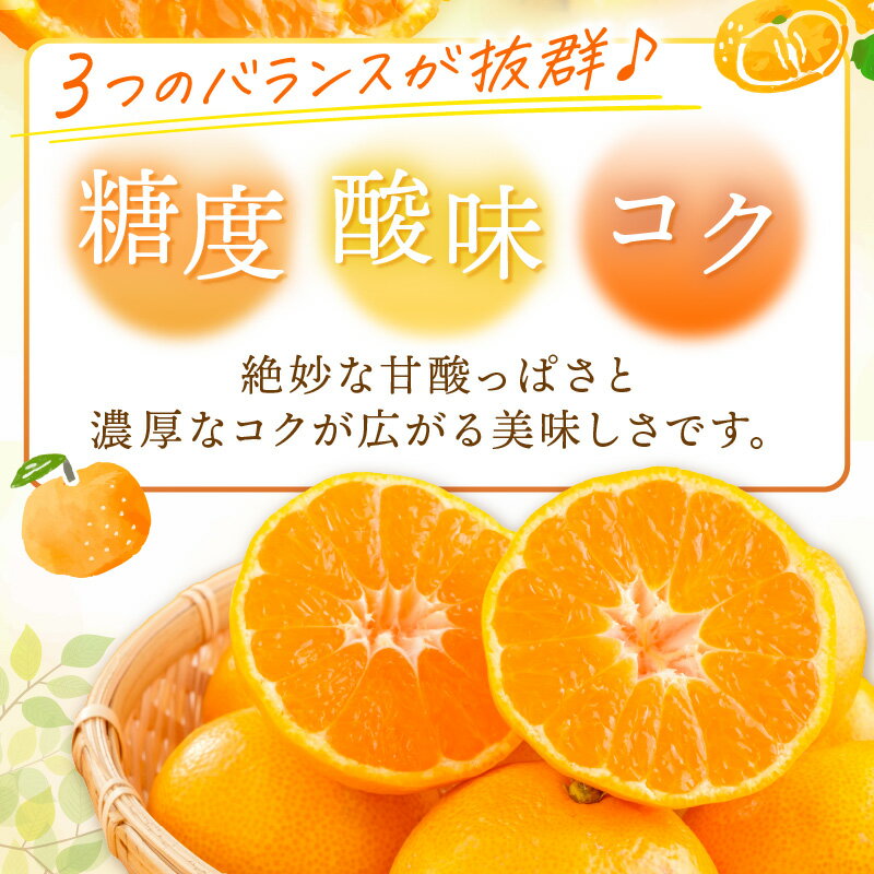 【ふるさと納税】南国和歌山の完熟みかん《先行予約》5kg 7.5kg みかん 予約 先行予約 蜜柑 完熟蜜柑 果物 くだもの フルーツ 和歌山【配送不可地域】離島 サムネイル3