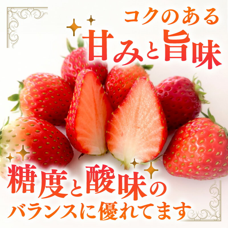 【ふるさと納税】《全国いちご選手権2022年第2位・2023年第3位！》農家直送 完熟まりひめ（和歌山県オリジナルブランド いちご）4パック《先行予約》【配送不可地域：北海道・沖縄・離島】ふるさと納税 いちご 予約 先行 甘い 苺 ふるさと納税 イチゴ 予約 フルーツ 果物 サムネイル2