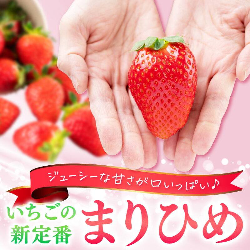 【ふるさと納税】農家直送！まりひめ　いちご　4パック（限定価格）《先行予約》2026年4月より順次発送【配送不可地域：北海道・沖縄・離島】 いちご 苺 イチゴ フルーツ くだもの 果物 旬 パック 送料無料 ふるさと納税 いちご 予約 先行予約 サムネイル3