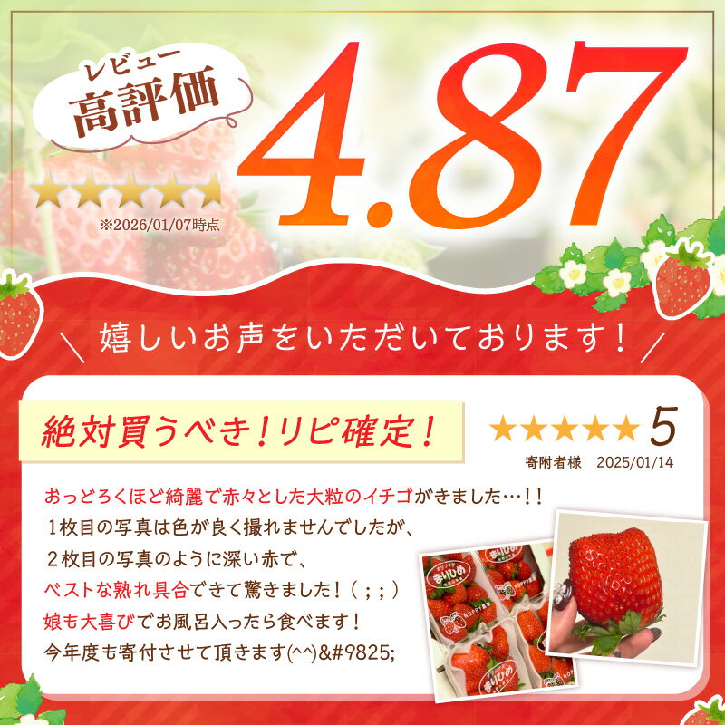 【ふるさと納税】農家直送！大粒完熟まりひめ いちご 2パック 4パック 《先行予約》 【配送不可地域：北海道・沖縄・離島】 ふるさと納税 いちご 予約 先行予約 ふるさと納税 苺 ふるさと納税 イチゴ ふるさと納税 フルーツ くだもの 果物 旬 パック 送料無料 数量限定 - 画像2