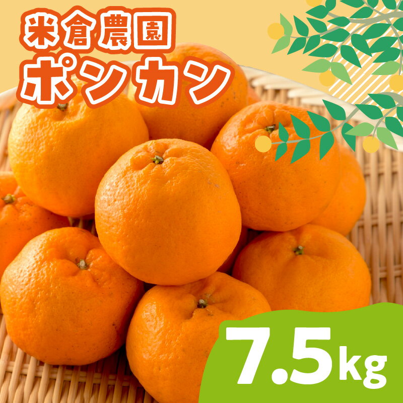 ポンカン 7.5キロ《先行予約2026年1月中旬頃より順次発送予定》
