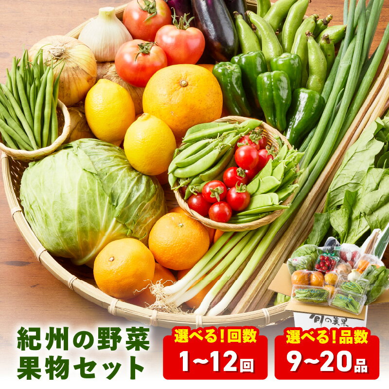 紀州の野菜・果物セット定期便 9～14品目 15～20品目 1回 6回 12回 旬の野菜 詰め合わせ 詰合せ 野菜 送料無料