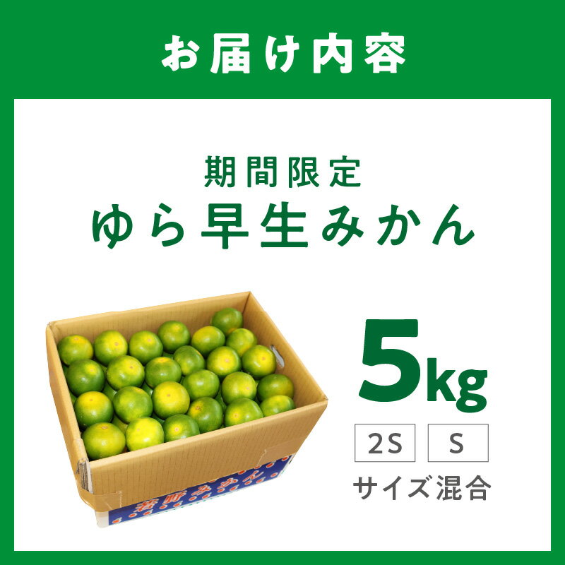 【ふるさと納税】【0162-3】糖度抜群！ゆら早生（みかん）≪先行予約≫ サムネイル3