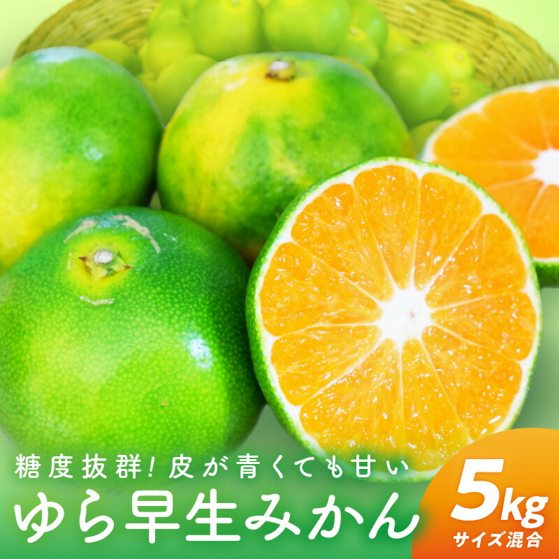 【0162-3】糖度抜群！ゆら早生（みかん）≪先行予約≫