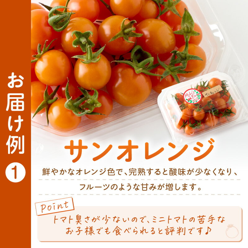 【ふるさと納税】ミニトマトセット（おまかせ詰め合わせ）約1.4kg 約2kg《先行予約》 サムネイル3