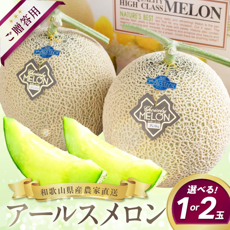 農家直送!和歌山県御坊市産アールスメロン1玉 2玉≪先行予約 2026年7月より順次発送分≫