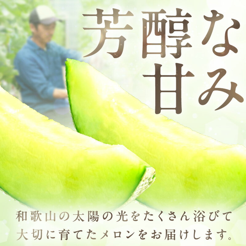 【ふるさと納税】農家直送!和歌山県御坊市産アールスメロン1玉 2玉≪先行予約 2026年7月より順次発送分≫ サムネイル2