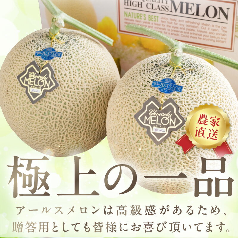 【ふるさと納税】農家直送!和歌山県御坊市産アールスメロン1玉 2玉≪先行予約 2026年7月より順次発送分≫ サムネイル3