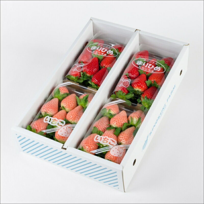 【ふるさと納税】《珍しい紅白いちご》自農園産『完熟赤白いちご』4パック入り《先行予約》2025年12月頃から順次発送【配送不可地域：北海道・青森・秋田・岩手・沖縄・離島】いちご 苺 イチゴ まりひめ スターナイト やよいひめ みくのか 淡雪 パック セット フルーツ 果物 サムネイル2