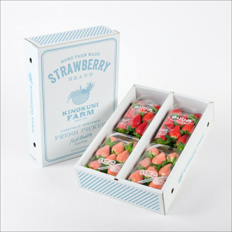 【ふるさと納税】《珍しい紅白いちご》自農園産『完熟赤白いちご』4パック入り《先行予約》2025年12月頃から順次発送【配送不可地域：北海道・青森・秋田・岩手・沖縄・離島】いちご 苺 イチゴ まりひめ スターナイト やよいひめ みくのか 淡雪 パック セット フルーツ 果物 サムネイル3