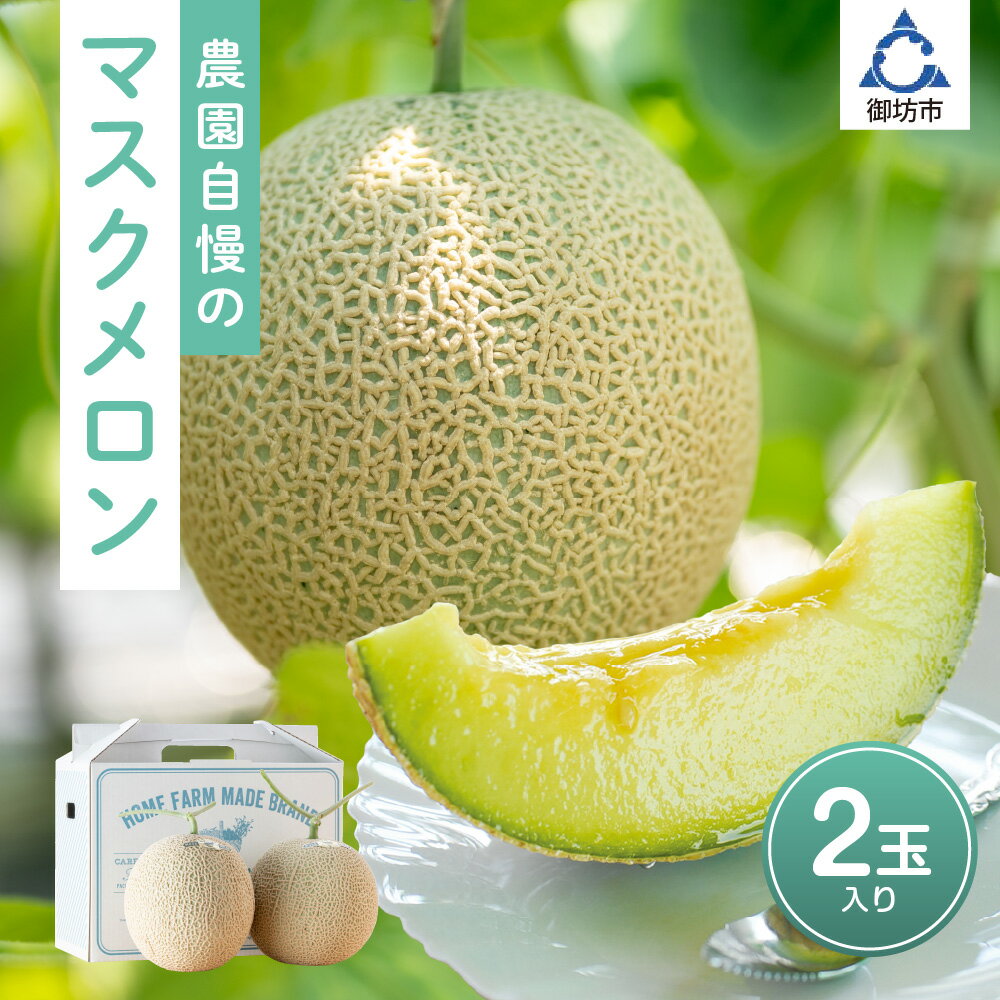 農園自慢の『マスクメロン』(アールスメロン)×2玉入り《先行予約》2026年6月下旬から順次発送【配送不可地域：北海道・青森・秋田・岩手・沖縄・離島】ふるさと納税 メロン ふるさと納税 マスクメロン フルーツ くだもの 果物 2玉 送料無料