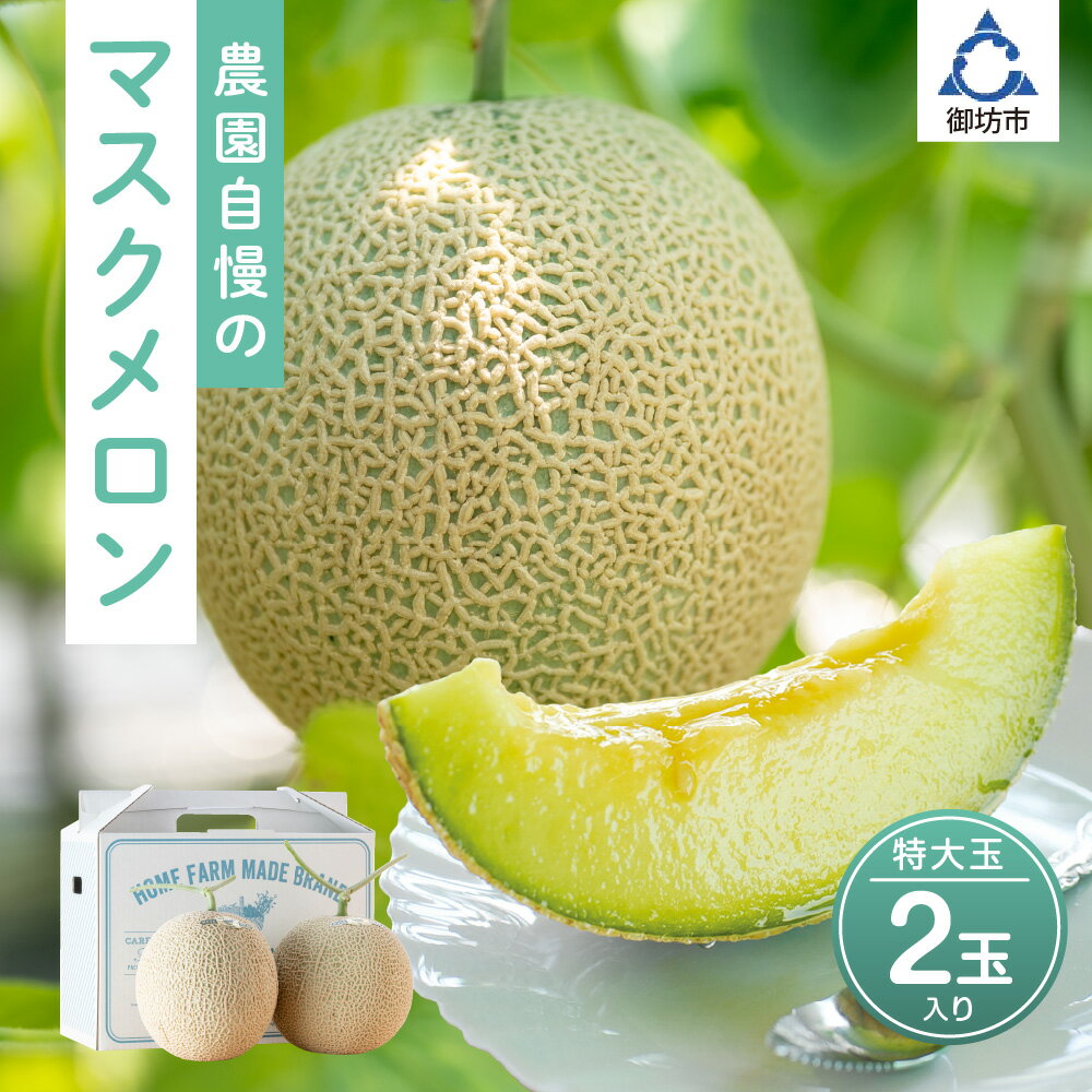 農園自慢の『マスクメロン』(アールスメロン)特大玉×2玉入り《先行予約》2026年6月下旬から順次発送【配送不可地域：北海道・青森・秋田・岩手・沖縄・離島】