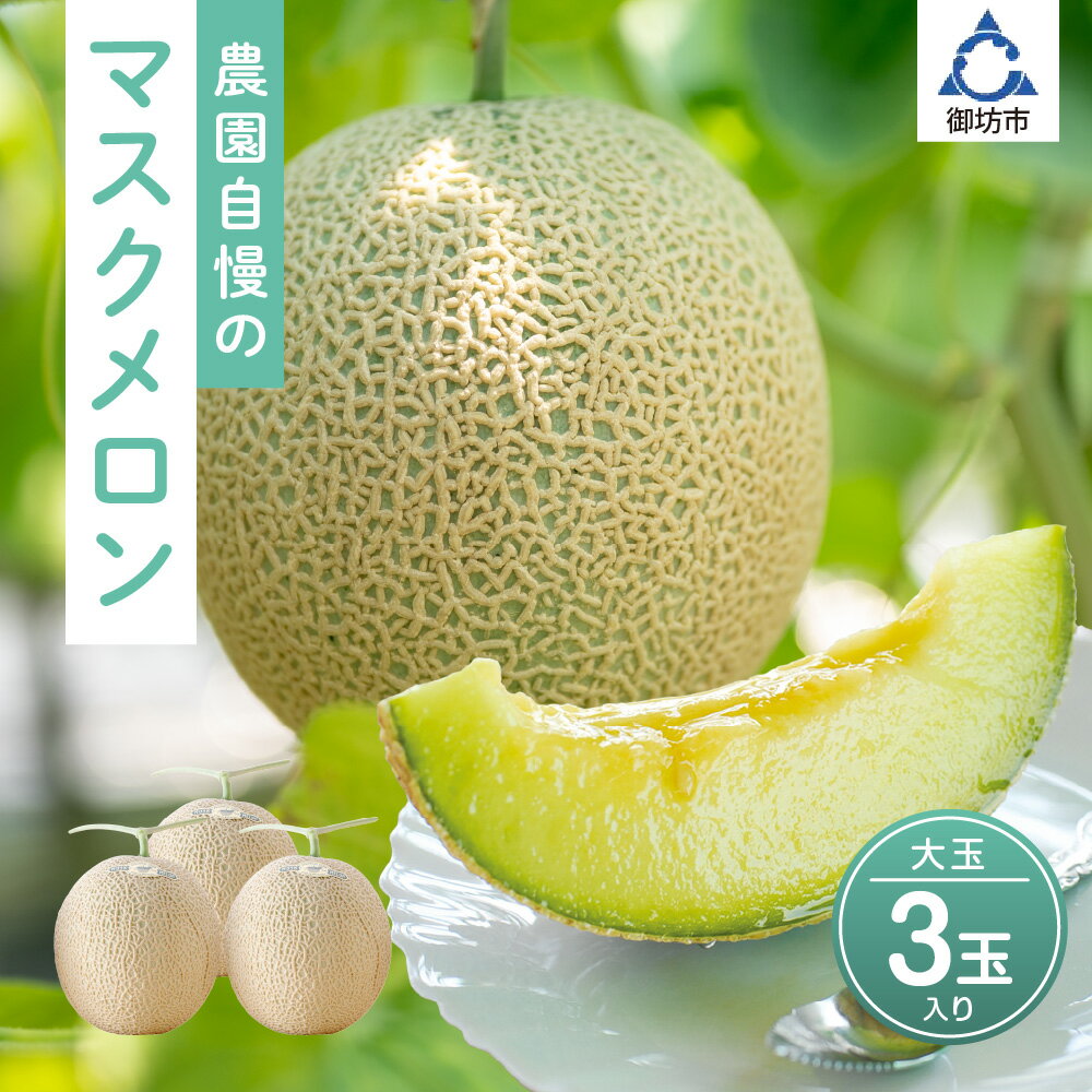 農園自慢の「マスクメロン」大玉×3玉入り《先行予約》2026年6月下旬から順次発送【配送不可地域：北海道 ・青森・秋田・岩手・沖縄・離島】ふるさと納税 メロン ふるさと納税 マスクメロン ふるさと納税 先行予約 フルーツ くだもの 果物