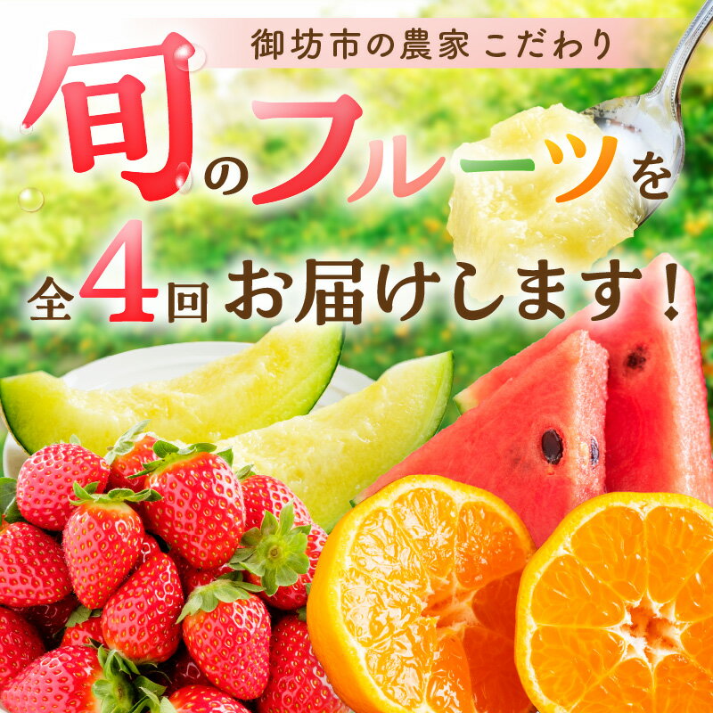 【ふるさと納税】≪2026年発送分≫産地直送！くだもの 定期便　御坊の農家からあなたへ。お試しパック 満足パック【配送不可地域：北海道・青森・秋田・岩手・沖縄・離島】 ふるさと納税 フルーツ 定期便 ふるさと納税 定期便 果物 いちご みかん メロン すいか スイカ サムネイル2