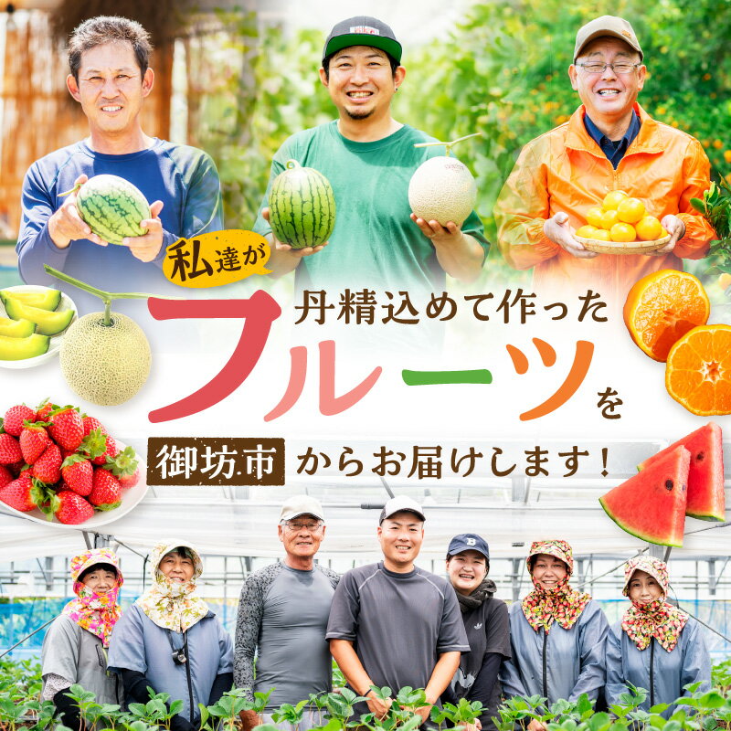 【ふるさと納税】≪2026年発送分≫産地直送！くだもの 定期便　御坊の農家からあなたへ。お試しパック 満足パック【配送不可地域：北海道・青森・秋田・岩手・沖縄・離島】 ふるさと納税 フルーツ 定期便 ふるさと納税 定期便 果物 いちご みかん メロン すいか スイカ サムネイル3