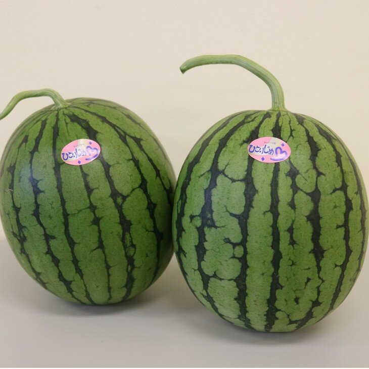 御坊産小玉すいか　ひとりじめ L～2L寸(2玉約4～5kg)《先行予約》【2026年5月中旬頃から順次発送予定】