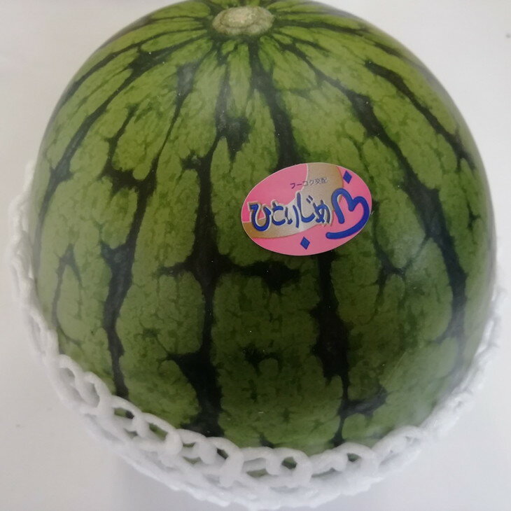 【ふるさと納税】御坊産小玉すいか　ひとりじめ L～2L寸(2玉約4～5kg)《先行予約》【2026年5月中旬頃から順次発送予定】 サムネイル2