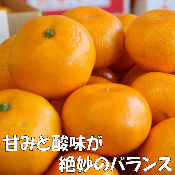 【ふるさと納税】和歌山の完熟みかん5kg 紀州日高地方からお届けします!《先行予約》みかん 予約 先行予約 ミカン 温州みかん 和歌山 人気 ダントツ 甘い 果物 フルーツ 送料無料 サムネイル2