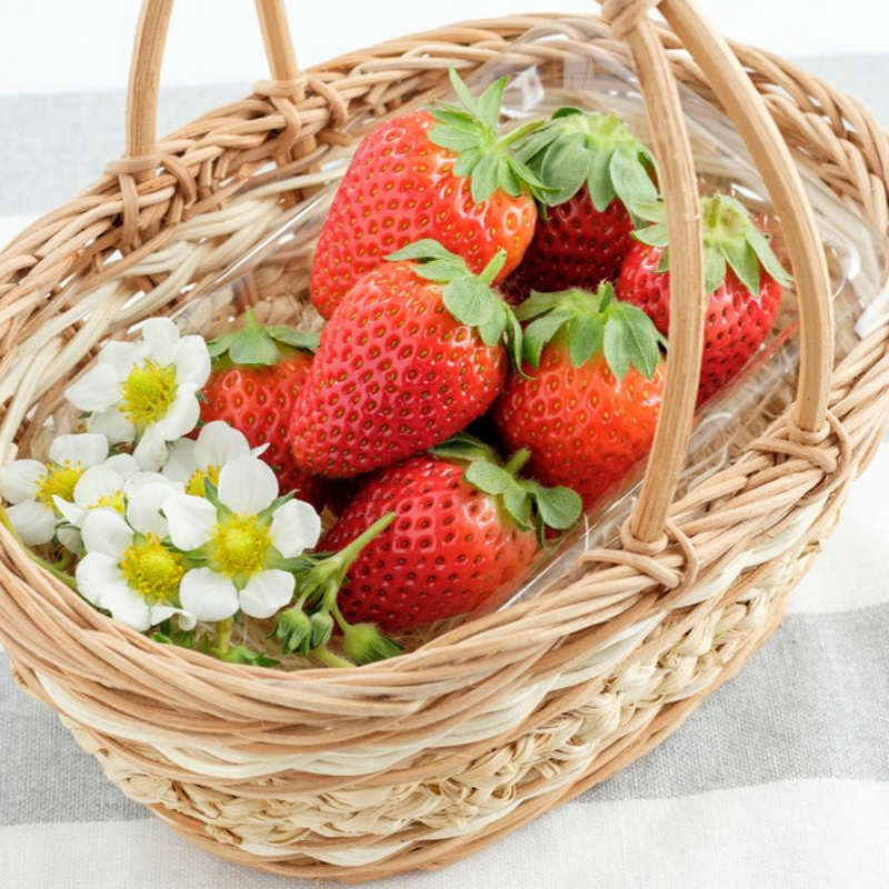 【ふるさと納税】まりひめ4パック入り1kg「和歌山ブランドいちご」農家直送《先行予約》【配送不可地域：北海道・青森・秋田・岩手・沖縄】 いちご 苺 イチゴ フルーツ くだもの 果物 旬 パック 送料無料 ふるさと納税 いちご 予約 先行予約 発送時期が選べる サムネイル3