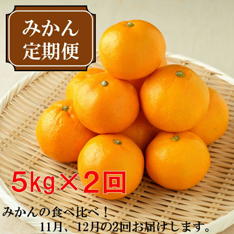 厳選みかん定期便　約5kg　2回（11月、12月）