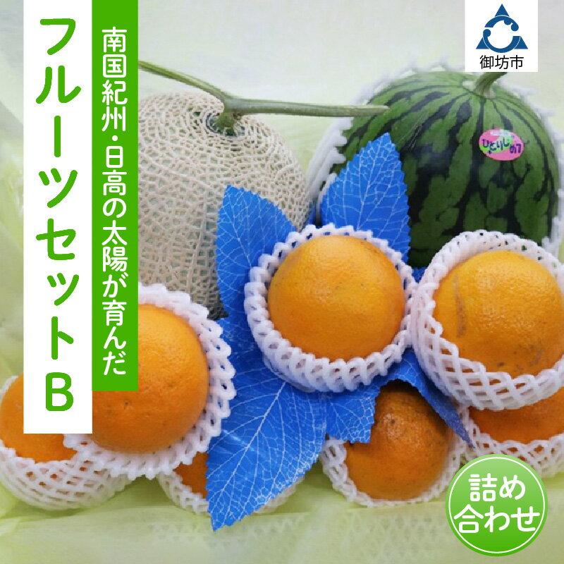 南国紀州・日高の太陽が育んだ季節のフルーツセットB《先行予約》【2026年1月下旬頃より順次発送予定】【配送不可地域:沖縄・離島】 フルーツ くだもの 果物 旬 旬のフルーツ 送料無料 数量限定 ふるさと納税 フルーツ