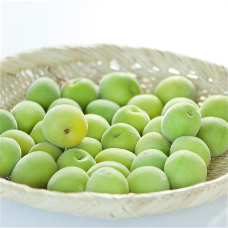 【ふるさと納税】紀州南高梅詰め合わせセット（味梅・しそ梅・はちみつ梅）1.2kg サムネイル2