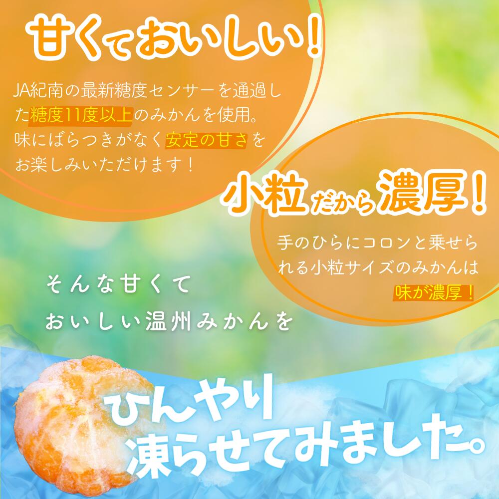 【ふるさと納税】冷凍みかん 紀州産わっ！美柑セット 選べる個数 クール便 / 田辺市 温州みかん 冷凍みかん みかん 皮むき Sサイズ 2Sサイズ 個包装 サムネイル2