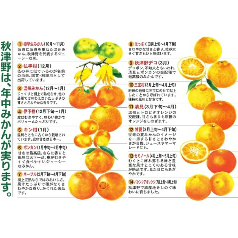 【ふるさと納税】橙ポン酢360ml×3本入り / 和歌山 和歌山県産 田辺市 みかん ポンカン だいだい 柑橘 ポン酢 ぽん酢 酢 調味料 鍋 サムネイル3