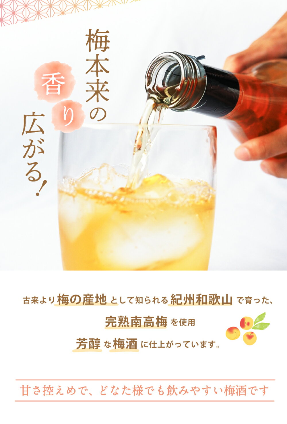 【ふるさと納税】 ★4.78 紀州梅酒 720ml 選べる本数 / 和歌山 田辺市 紀州南高梅 南高梅 梅酒 リキュール 梅 ロック 水割り 家飲み 家庭用 選べる 酒 お酒 人気 アルコール 送料無料 10000円 14000円 24000円 サムネイル2