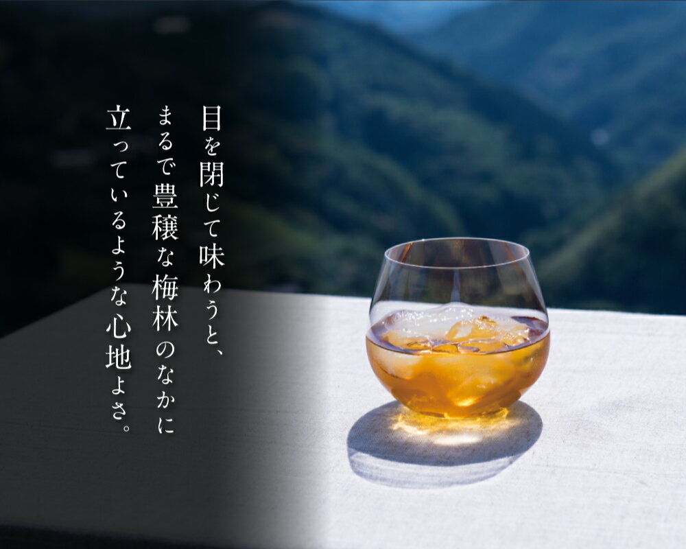 【ふるさと納税】 本格梅酒 「HAMADA」黒ラベル 5年熟成 720ml 18度/ 和歌山 田辺市 梅干し 梅干 梅 うめ 梅酒 酒 紀州産 完熟梅 南高梅 本格梅酒 サムネイル2